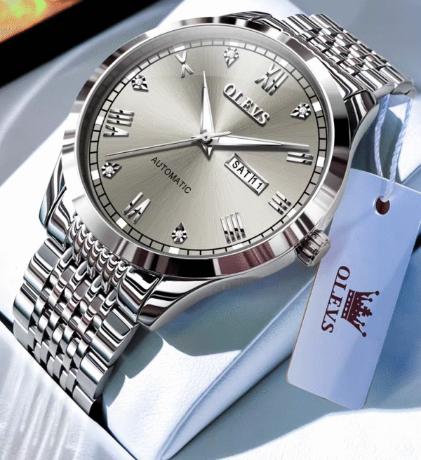 OLEVS NO.6602 Men's Automatic Mechanical Waterproof Watch